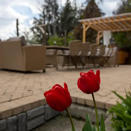 Egercottages - Bikaver *