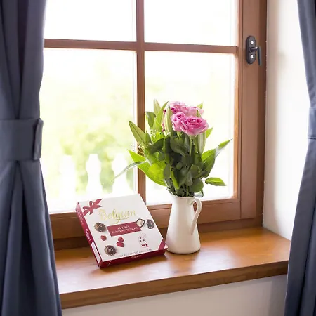 Pensionat Chillinn Bikavér