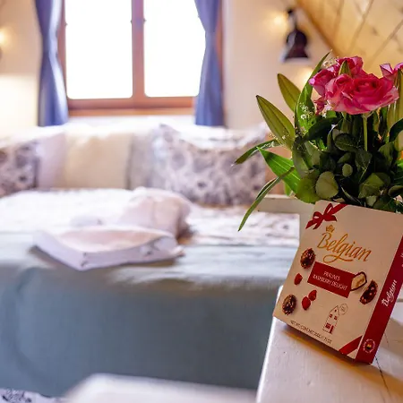 Pensionat Chillinn Bikavér